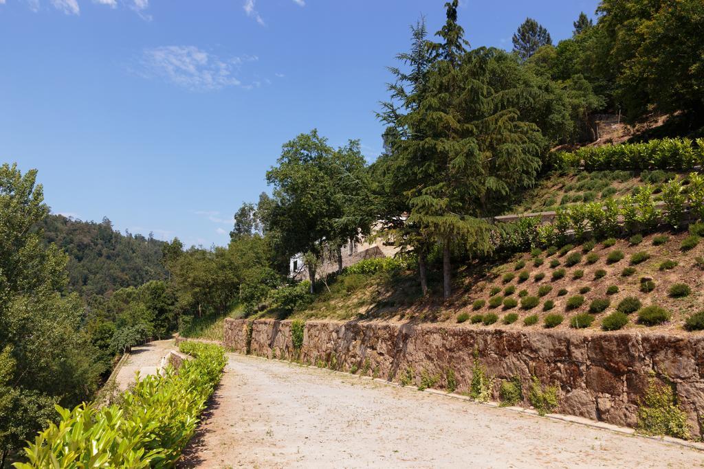 Douro Green Castelo de Paiva Bagian luar foto