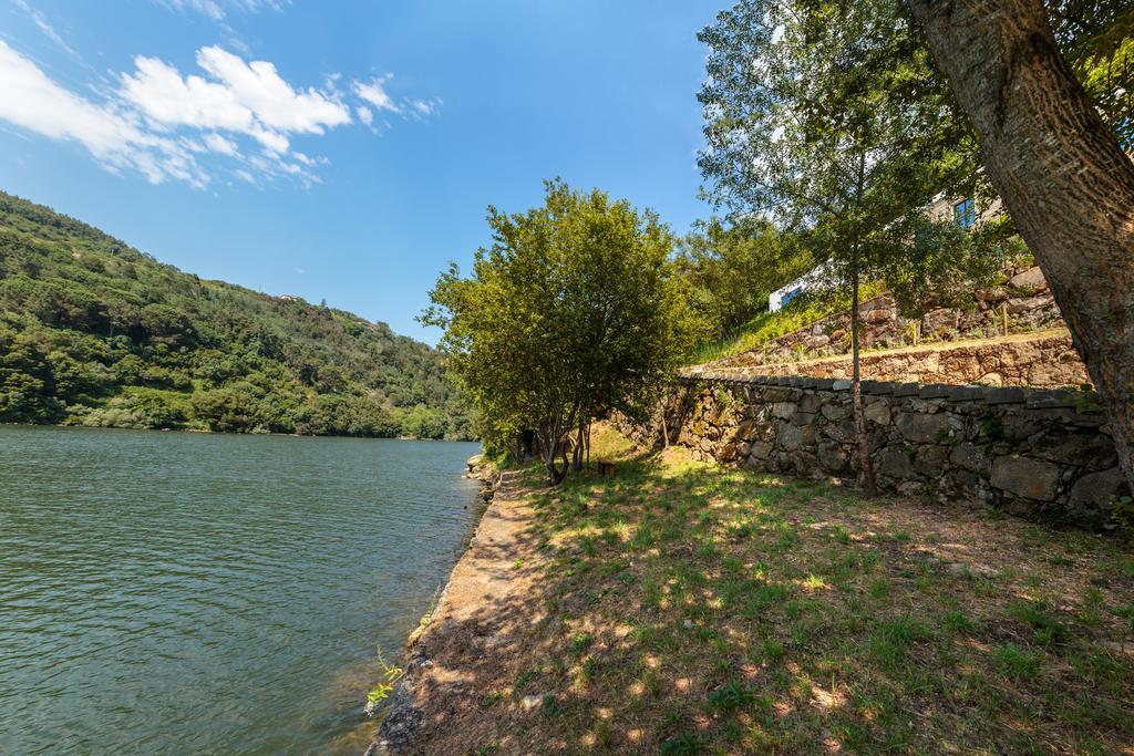 Douro Green Castelo de Paiva Bagian luar foto
